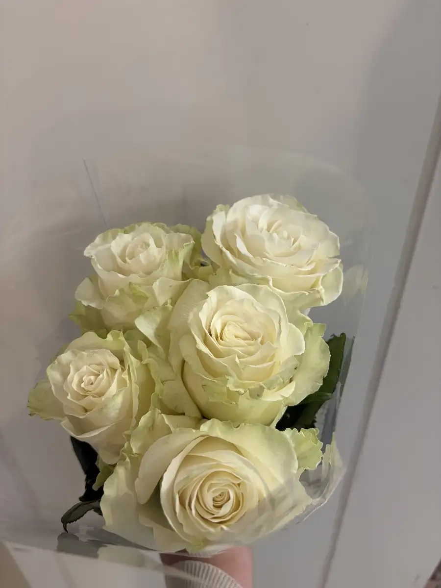 Roses par 5