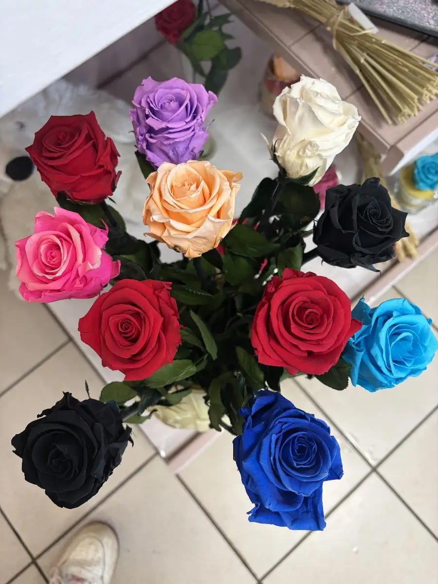 Rose éternelles sur tige
