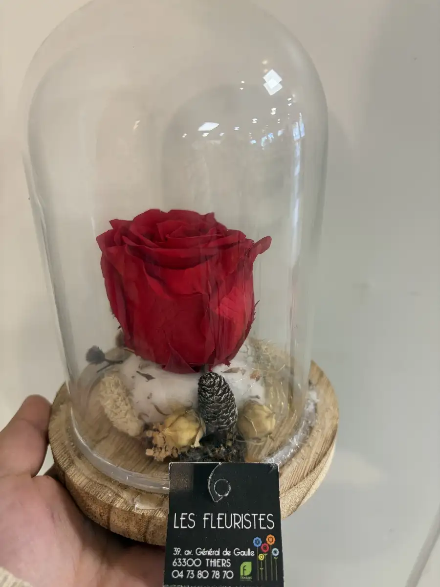 rose éternelles sous cloche
