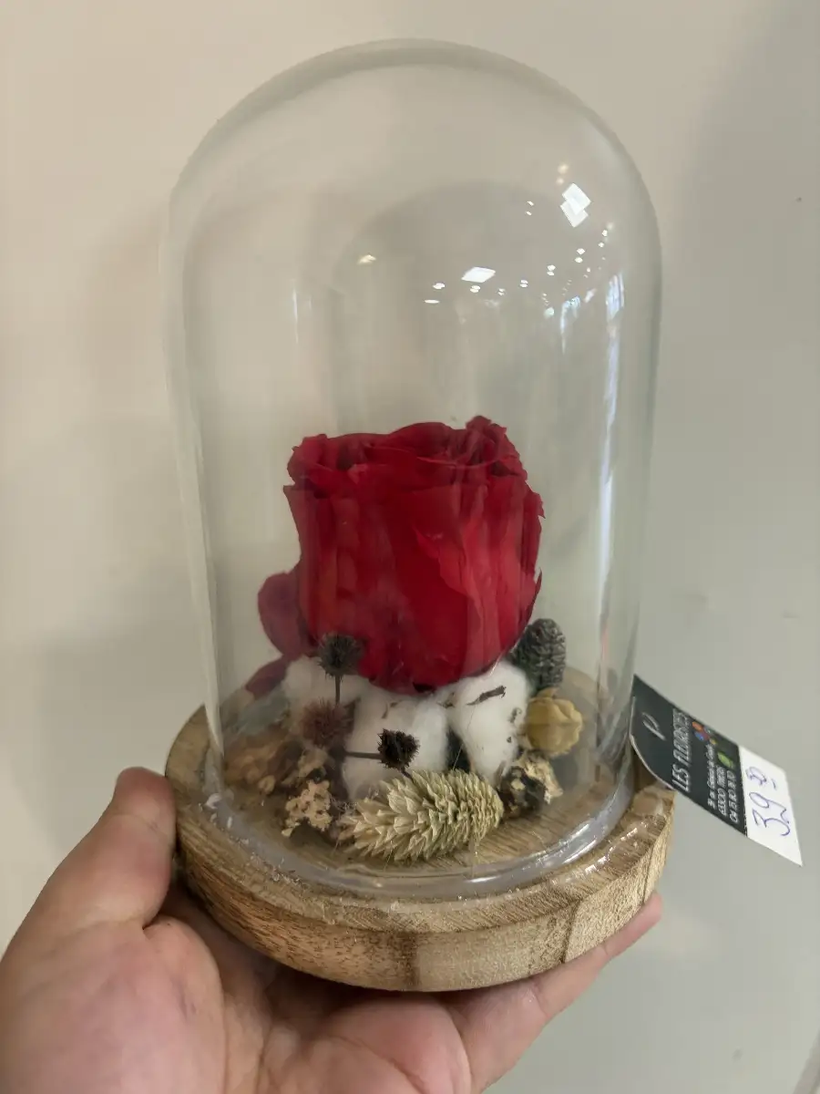 rose éternelles sous cloche